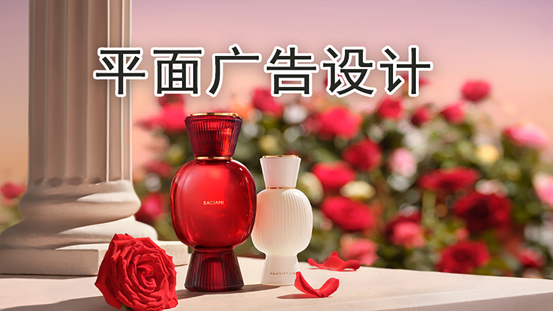 平面设计全案就业班